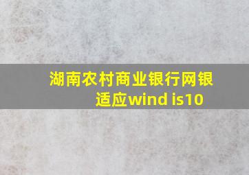 湖南农村商业银行网银适应wind is10